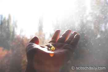 Study Warns: Vitamin D Deficiency May Raise Risk of Getting COVID-19