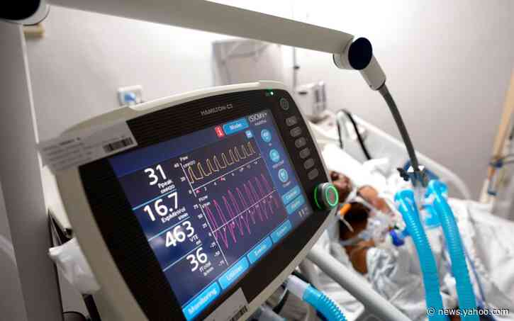 Lungs damaged by coronavirus can repair themselves in three months