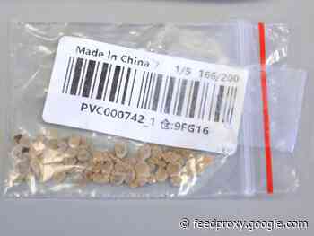 Amazon bans foreign plant sales following delivery of mystery seed packages     - CNET