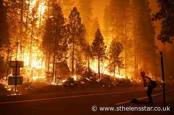 200 airlifted to safety as California wildfires rage - St Helens Star