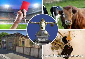 Court: 9 people who have been before magistrates recently - The Bolton News