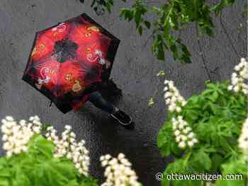 Weather: Rain for Labour Day and most of the week