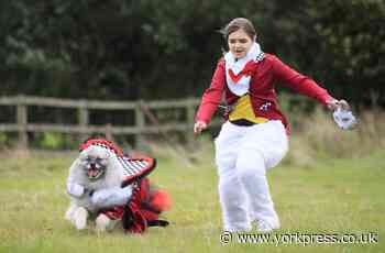Pooches dress up in crazy costumes for Furbabies Dog Pageant near York