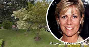 Jill Dando memorial tree chopped down in 'mistake' by housing developer