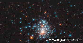 Hubble captures a globular cluster of densely packed stars
