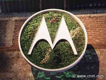 Motorola Moto G9 Plus leak reveals 64-megapixel camera     - CNET