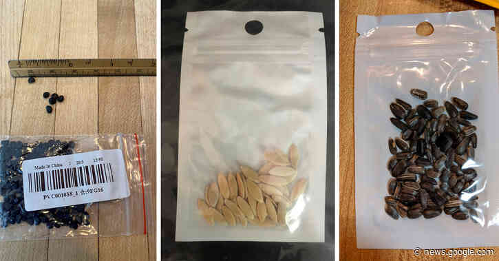 Amazon Bans Sale of Foreign Seeds in the U.S. - The New York Times