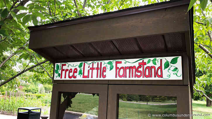 Free Little Farmstand Sprouts at Franklin Park Conservatory