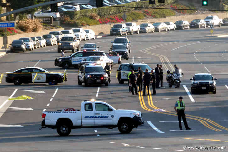 Riverside man arrested on suspicion of hit-and-run that killed woman, dog in Costa Mesa