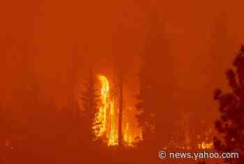 California wildfires: Gender-reveal event sparks one blaze as record heat fuels flames