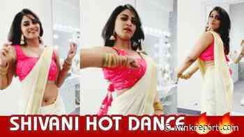 Shivani Narayanan Onam dance video will win hearts even among Keralites - Wink Report
