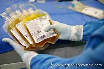 La Provincia de Buenos Aires ya registró más de mil donaciones de plasma - Grupo La Provincia