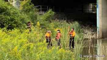 Homicide detectives investigate after body of man found near West Humber Trail in Etobicoke