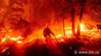Record-breaking California wildfires scorch 8,000 sq. km, prompting closure of state forests