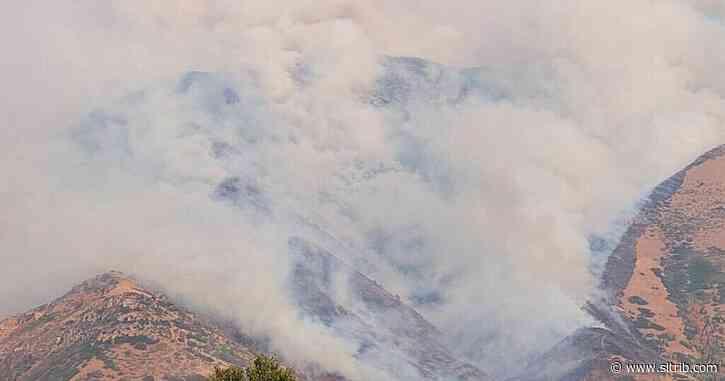 Mapleton residents evacuate as target shooting causes rapidly growing fire