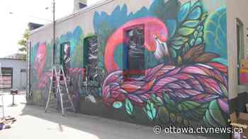 Artists gather to paint murals on Ottawa coffee shop - CTV News Ottawa