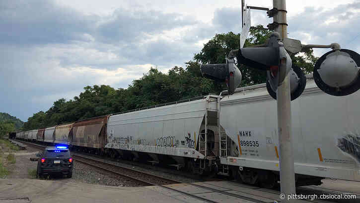 Pedestrian Hit, Killed By Train Near Route 28 In Shaler Township