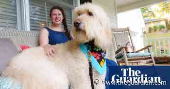 TV tonight: woof! How did dogs become our best friend?