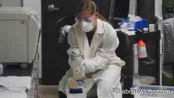 Colleges combating coronavirus turn to stinky savior: sewage