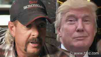 Joe Exotic Asks Trump for Pardon, Says He Was Sexually Assaulted in Prison