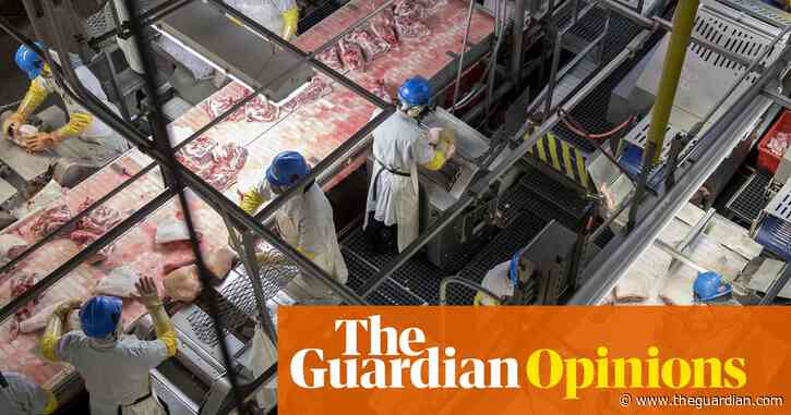 Meat production is brutal for animals and humans alike. It's time for it to end | Troy Vettese and Alex Blanchette