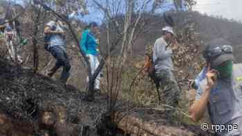 San Martín: Incendio consume más de 15 hectáreas de bosques en cerro San Mateo de Moyobamba - RPP Noticias