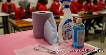 What schools must do if a pupil or teacher gets coronavirus