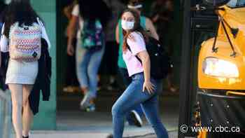 Stress signs you should look for as your child returns to school this year