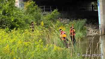 Police ID man killed on West Humber Trail as Rampreet Singh, 39