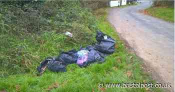Man fined over dumped bags filled with used nappies