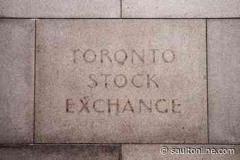 North American stock markets plunge to start trading week, loonie sinks lower