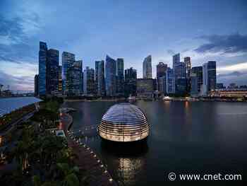 Apple offers a peek inside its 'floating' Marina Bay Sands store     - CNET