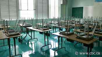 Skills lost due to COVID-19 school closures will hit economic output for generations: OECD