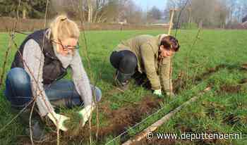 Bewoners Veenhuizerveld maken buitengebied groener | De Puttenaer | Nieuws uit de regio Putten - DePuttenaer.nl
