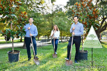 Engagement rings and planting trees unite for a perfect union