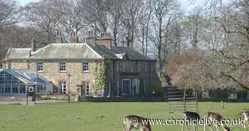 Luxury hotels planned after Newcastle bar operator Apartment Group buys venues