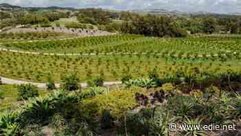 Patagonia: Regenerative agriculture is the next sustainability frontier for fashion and food