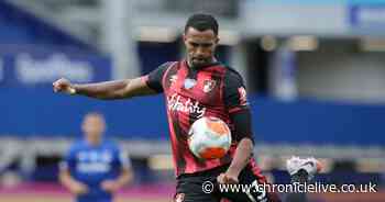 Callum Wilson's versatility will provide Bruce with a big attacking boost