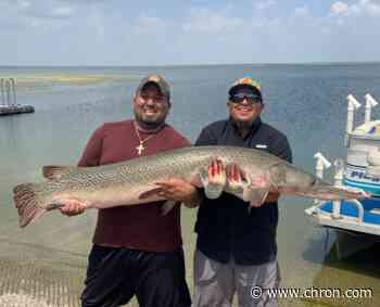 'We landed a river monster': San Antonio anglers catch 6 1/2-foot alligator gar at area lake