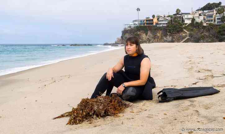 An Orange County marine biologist wants to weed the ocean to help kelp grow