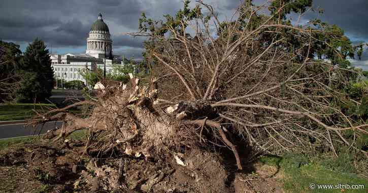 The latest: Hurricane-force winds slam Utah, causing significant damage, leave 175K without power