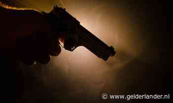 Man met flinke wapenverzameling is een typische hobbyist, vindt de rechter