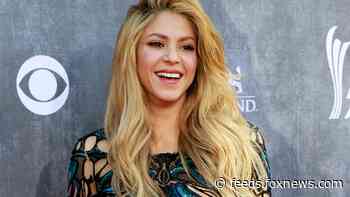 Shakira wows in purple bikini she designed herself