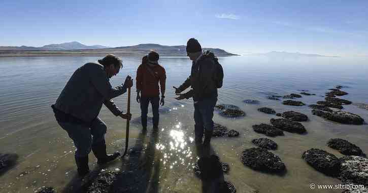 Hannah Downey: Water markets can rescue the Great Salt Lake
