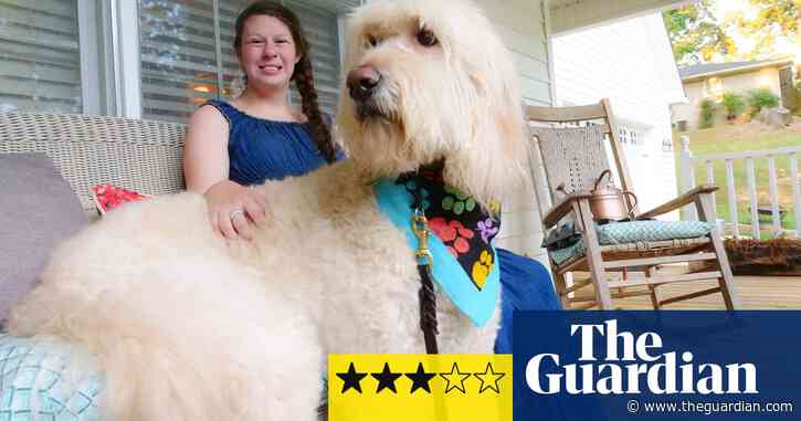 Dog Tales: The Making of Man’s Best Friend review – are they just in it for the treats?