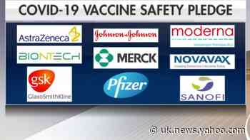 Group of drug companies pledge to make sure COVID-19 vaccines follow full regulatory path