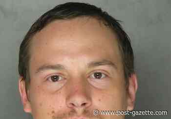 Carrick man sentenced to 14-28 years for killing Point Park instructor