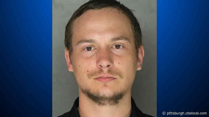 Man Sentenced To 14-28 Years For Killing Point Park University Professor And His Dog
