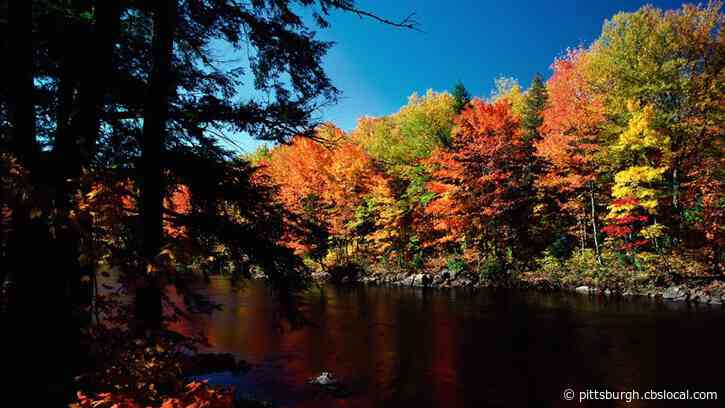 When Pittsburgh Will Hit Peak Fall Foliage In 2020