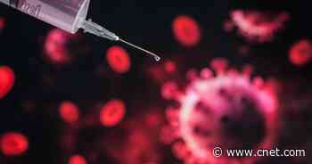Oxford coronavirus vaccine trial on hold after adverse reaction in participant     - CNET